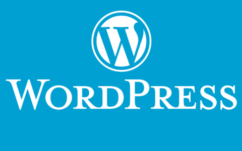 外贸建站：WordPress搭建教程